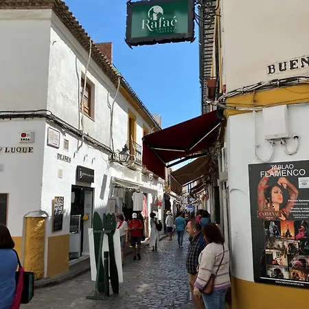 Precioso Apartamento Junto A La Mezquita Cordoba Exterior photo